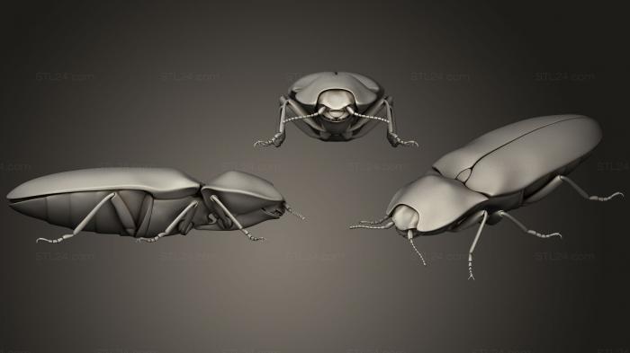 Insects (Insect beetles 91, INSCT_0052) 3D models for cnc